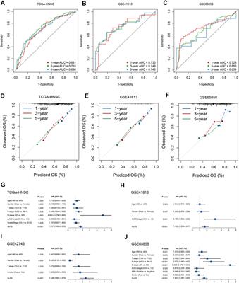 A novel necroptosis-related LncRNA signature for prediction of prognosis and therapeutic responses of head and neck squamous cell carcinoma